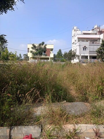  Plot – Exterior View View at Raja Iris, Ckikkakammana Halli - for Sale