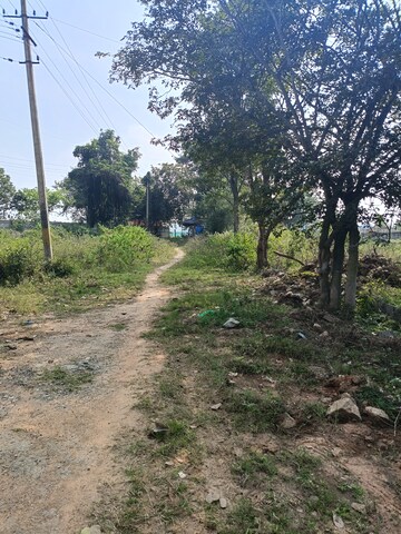 Plot Area in  Plot at Raja Iris, Ckikkakammana Halli – for Sale