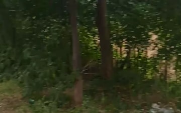 Land For Sale in Rose Residency Turkapally, Turkapally