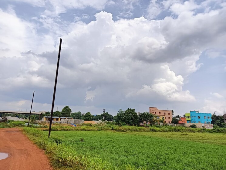 Garden, patrapada  1202 Sq.Yd. Plot In Patrapada Bhubaneswar 7928001