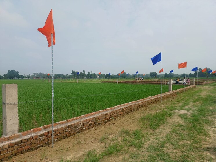 undefined, wazirganj  1000 Sq.Ft. Plot In Wazirganj Lucknow 7928373