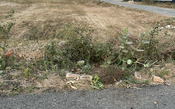 Plot For Sale in Sector 65
