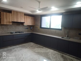 4 BHK Builder Floor For Rent in Abul Fazal Enclave Part 2 Delhi  7928473