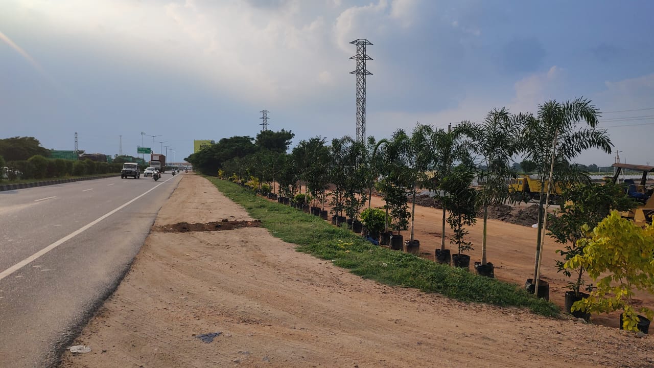 Plot For Sale in Nature City Shadnagar