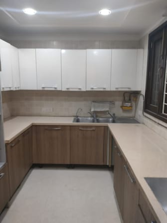 4 BHK Builder Floor For Rent in Green Park Delhi  7929153