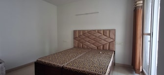 2 BHK Apartment For Rent in NK Sharma Savitry Greens 2 Ghazipur Zirakpur  7931024