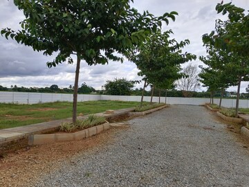  Plot For Sale in Narasapura