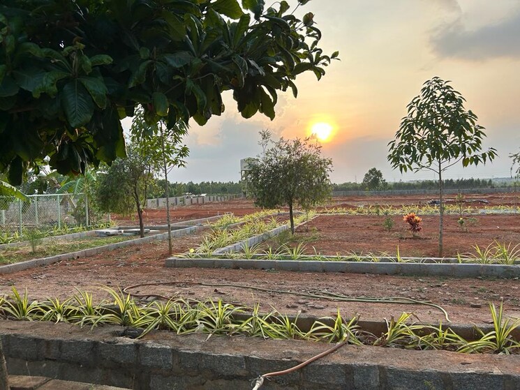 Garden, prerana-greens  1500 Sq.Ft. Plot In Narasapura Bangalore 7929495