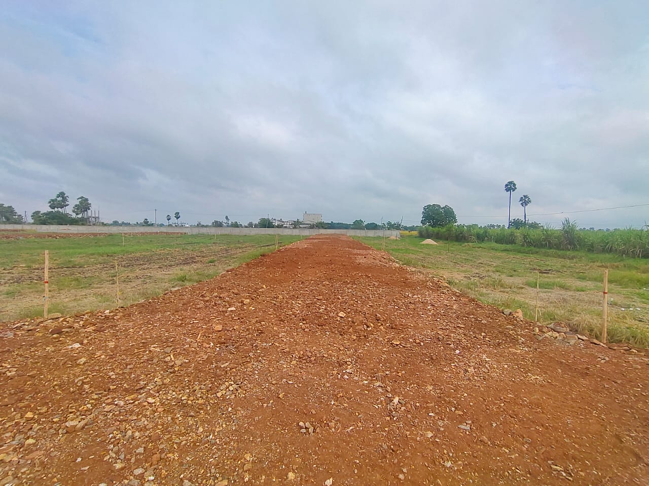 Plot For Sale in Gayathri99
