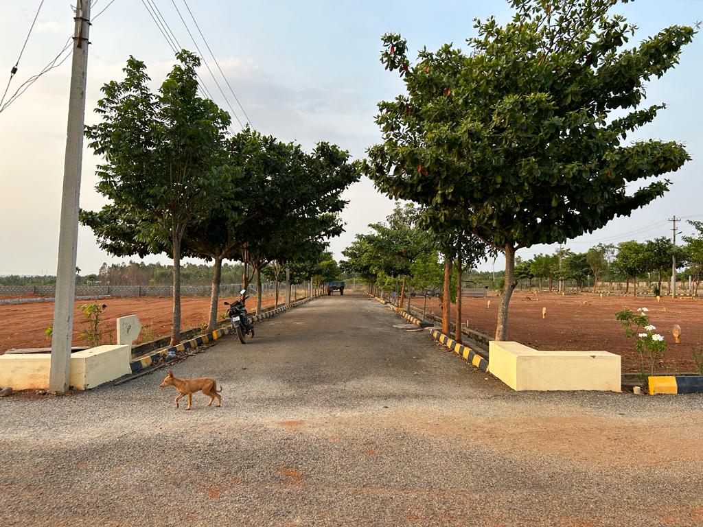 Plot For Sale in Prerana Greens