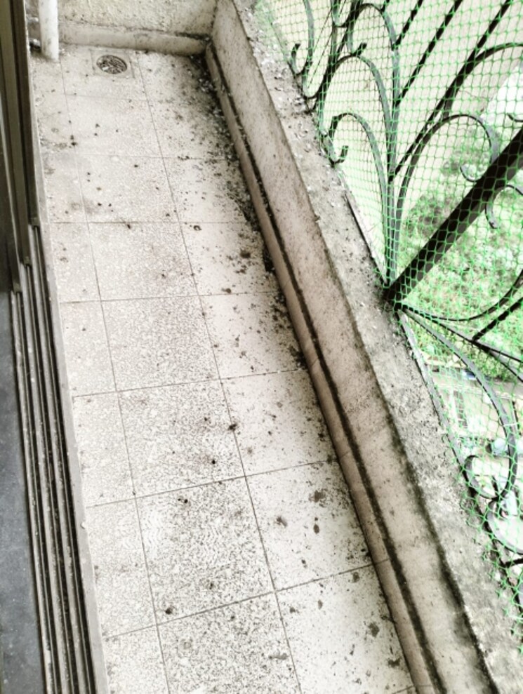 Balcony, ravi-gaurav-samruddhi 1 Bedroom 625 Sq.Ft. Apartment In Mira Road East Thane 7929732