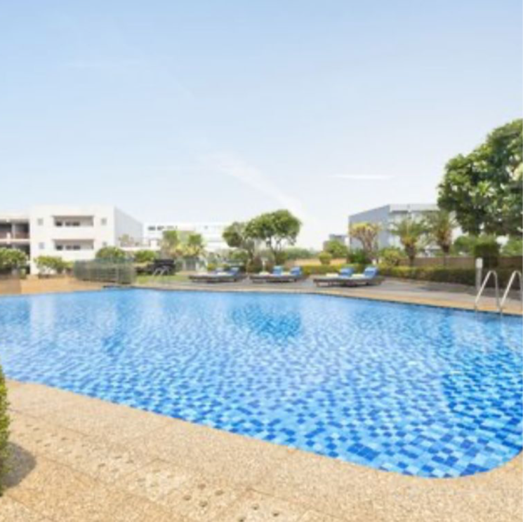 Swimming Pool, sector 27 Commercial Shop 100 Sq.Ft. In Sector 27 Gurgaon 7930125