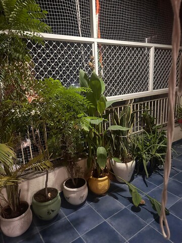 Balcony in 3 BHK Apartment at Supertech Araville, Sector 79 – for Rent