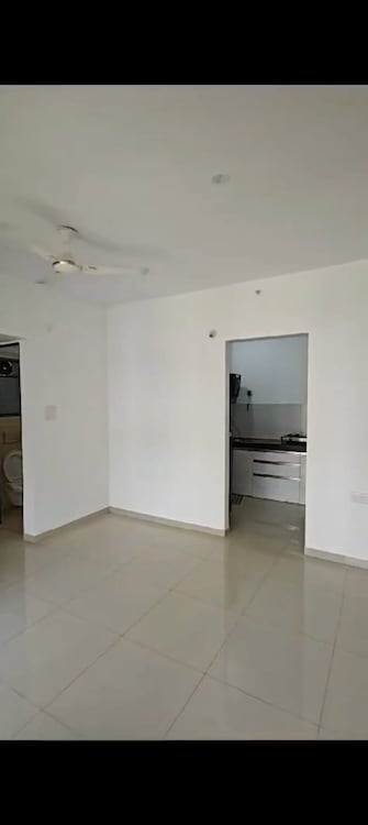 1 BHK Apartment For Rent in Menlo Homes Hinjewadi Pune  7929952