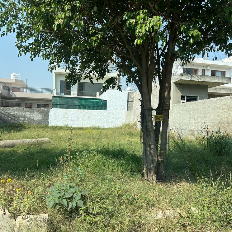 undefined, aerocity  300 Sq.Yd. Plot In Aerocity Mohali 7930088