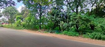 Commercial Land 2 Acre For Resale in Athani Thrissur  7930358