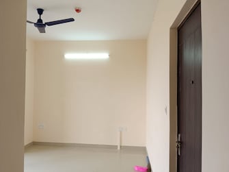 1 RK Apartment For Rent in Pashmina Waterfront Old Madras Road Bangalore  7930478