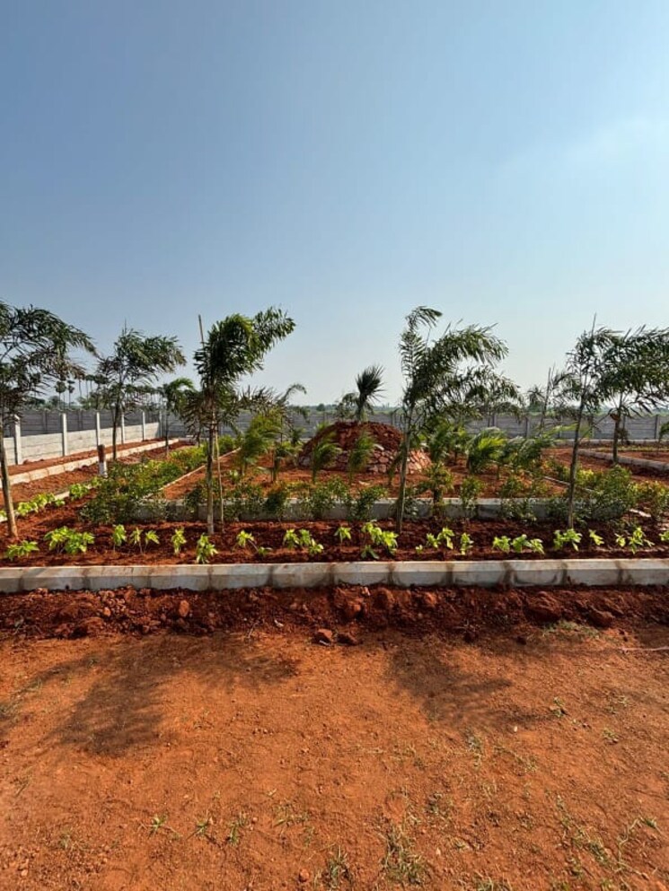 undefined, sri-bhumi-eeshaanya  250 Sq.Yd. Plot In Kankipadu Vijayawada 7930614