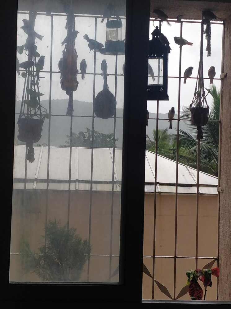 Balcony, puranik-rumah-bali 1 Bedroom 475 Sq.Ft. Apartment In Ghodbunder Road Thane 7930662