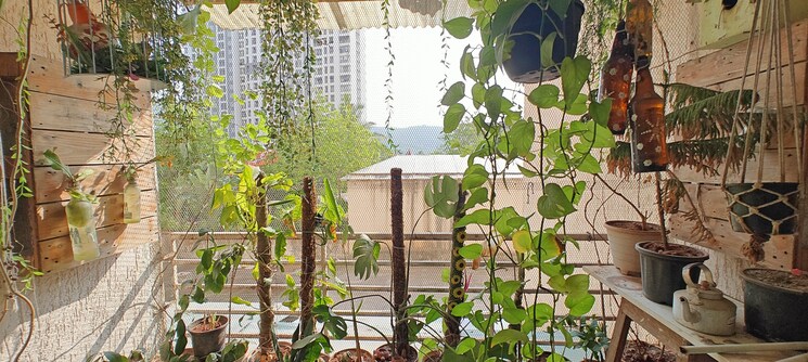 Master Bedroom, puranik-rumah-bali 1 Bedroom 475 Sq.Ft. Apartment In Ghodbunder Road Thane 7930662