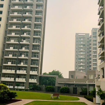 3.5 BHK Apartment For Rent in Corona Graceiux Sector 76 Gurgaon  7930755