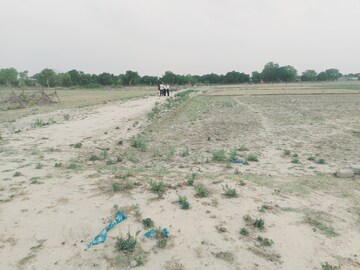 Plot Area in  Plot at Raebareli Road – for Sale