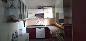 Kitchen in 1 BHK Independent House at Bhondsi – for Rent