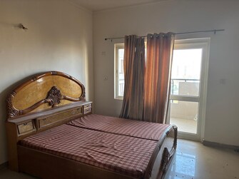 3 BHK Apartment For Rent in AWHO Shanti Vihar Sector 95 Gurgaon  7932229