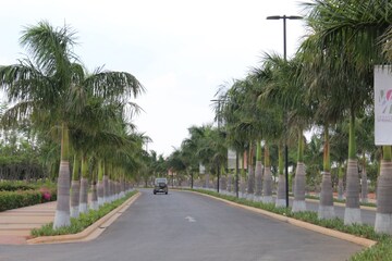  Plot – Garden View at Embassy Springs Plots, Devanahalli - for Sale