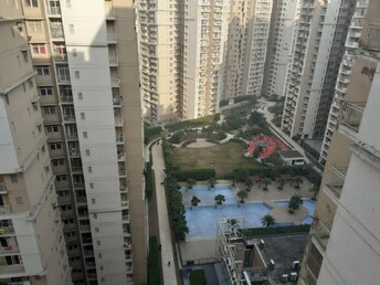 1 BHK Apartment For Rent in Mahagun Mywoods Noida Ext Sector 16c Greater Noida  7932416