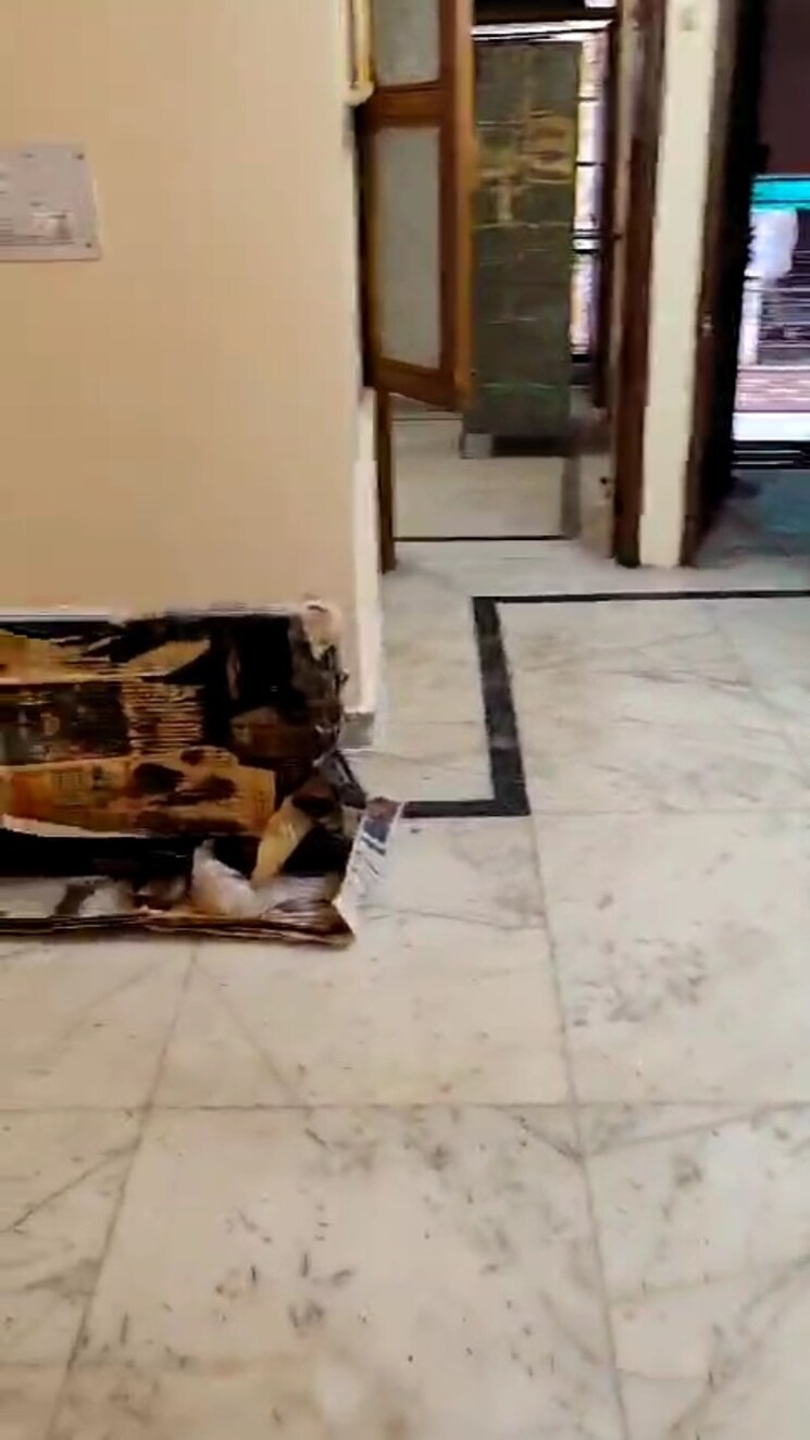 Living Room, mayur vihar phase 1 2.5 Bedroom 550 Sq.Ft. Builder Floor In Mayur Vihar Phase 1 Delhi 7932703