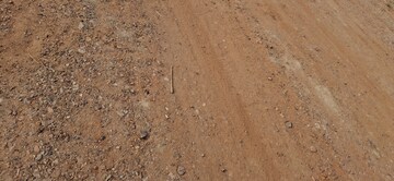 Plot Area in  Plot at Upsidc Site B – for Sale