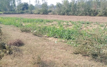 Land For Sale in Banki