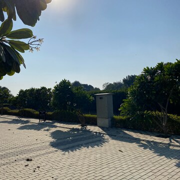  Plot – Exterior View View at Mansha Oaks, Sector 98 - for Sale