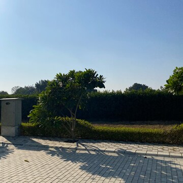 Plot Area in  Plot at Mansha Oaks, Sector 98 – for Sale