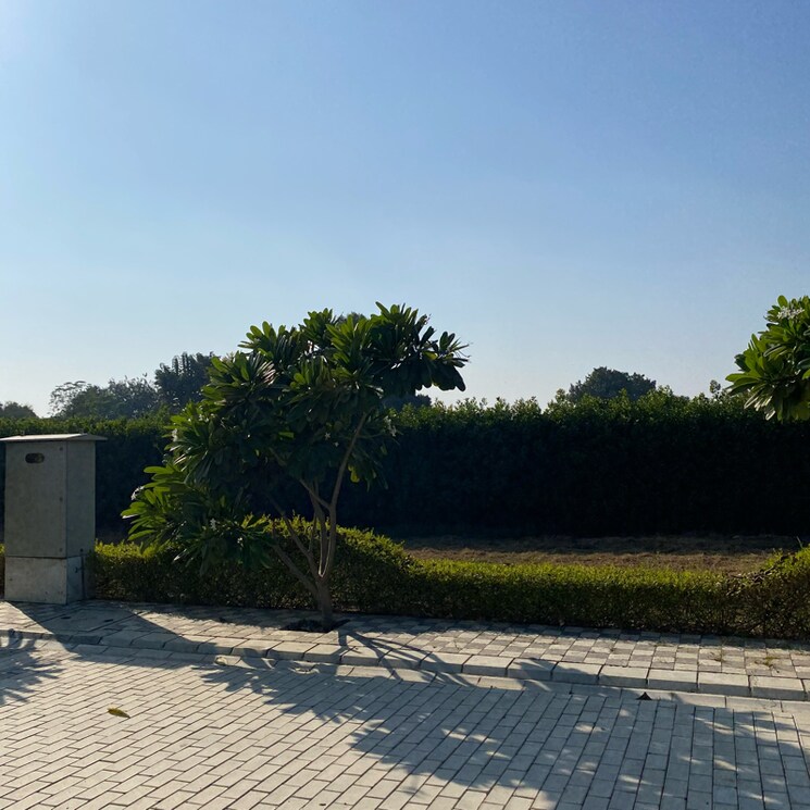 undefined, mansha-oaks  103 Sq.Yd. Plot In Sector 98 Faridabad 7932926