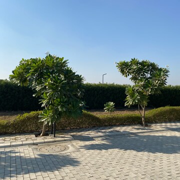 Plot Area in  Plot at Mansha Oaks, Sector 98 – for Sale