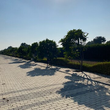 Plot Area in  Plot at Mansha Oaks, Sector 98 – for Sale