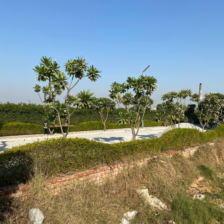 undefined, mansha-oaks  125 Sq.Yd. Plot In Sector 98 Faridabad 7932929