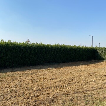 Plot Area in  Plot at Mansha Oaks, Sector 98 – for Sale