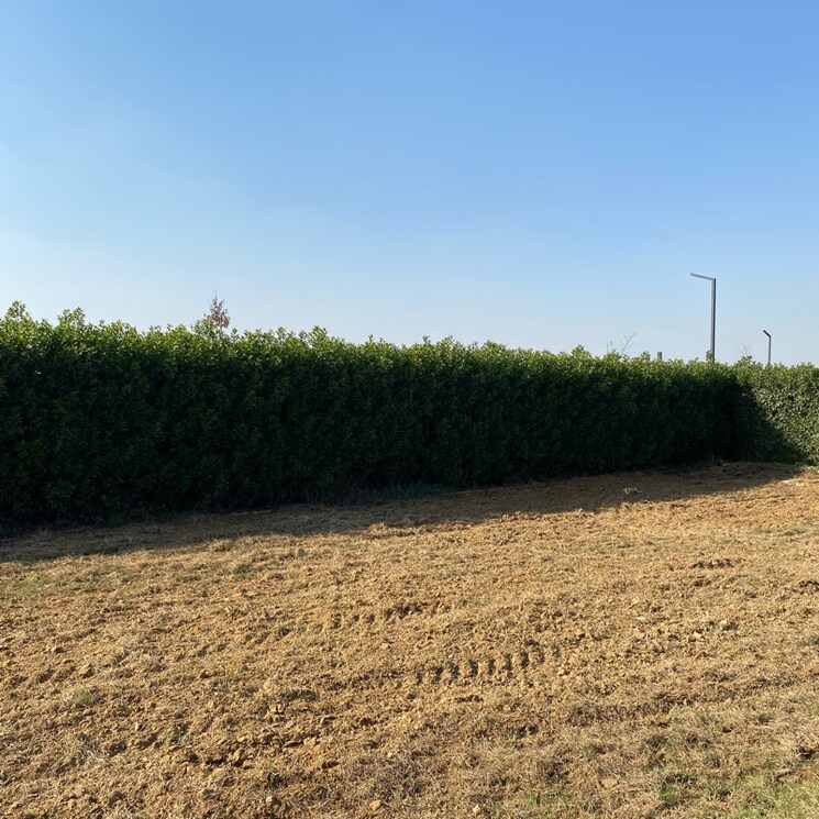 undefined, mansha-oaks  141 Sq.Yd. Plot In Sector 98 Faridabad 7932939