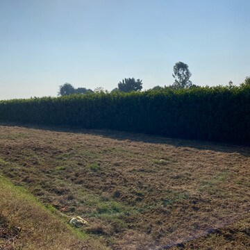 Plot Area in  Plot at Mansha Oaks, Sector 98 – for Sale