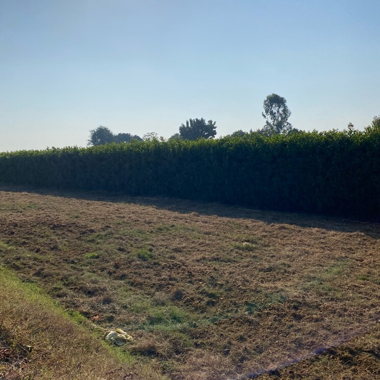 undefined, mansha-oaks  141 Sq.Yd. Plot In Sector 98 Faridabad 7932939