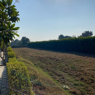  Plot – Garden View at Mansha Oaks, Sector 98 - for Sale