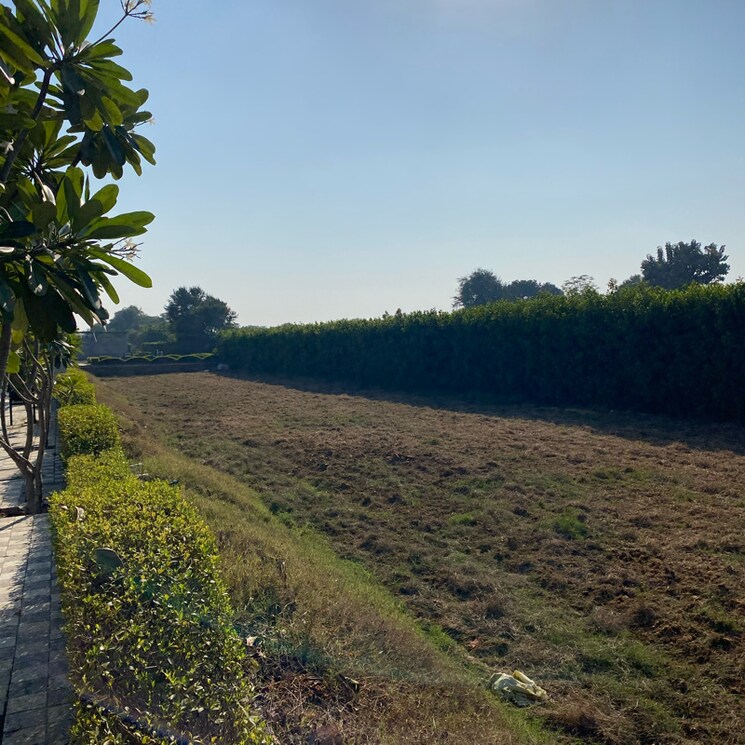 Garden, mansha-oaks  141 Sq.Yd. Plot In Sector 98 Faridabad 7932939