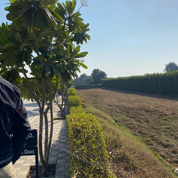  Plot – Garden View at Mansha Oaks, Sector 98 - for Sale