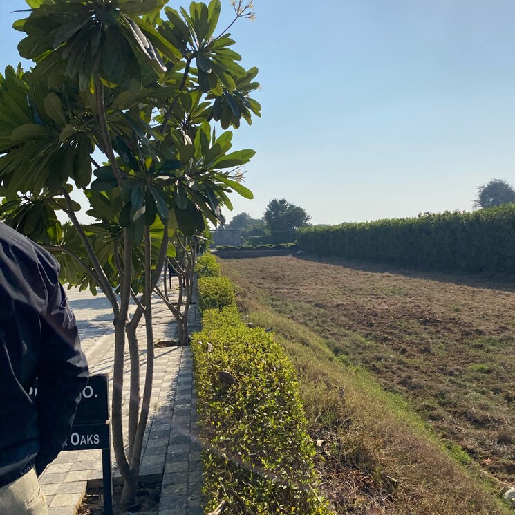 Garden, mansha-oaks  141 Sq.Yd. Plot In Sector 98 Faridabad 7932939