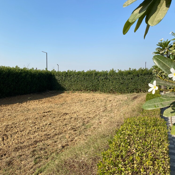 Garden, mansha-oaks  141 Sq.Yd. Plot In Sector 98 Faridabad 7932939