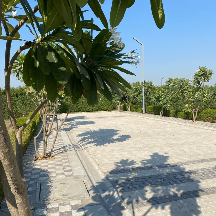 Exterior View, mansha-oaks  141 Sq.Yd. Plot In Sector 98 Faridabad 7932939