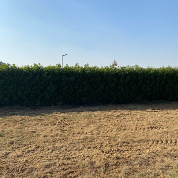 Plot Area in  Plot at Mansha Oaks, Sector 98 – for Sale